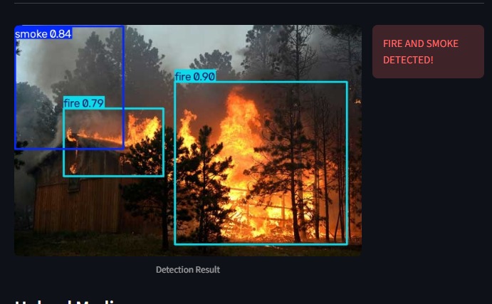 Fire Detection model preview